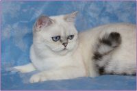 img-6389516c3278f2582