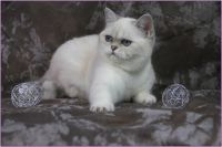 img-759750bd14f72ba51