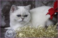 img-760350bd14df6258b