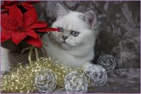 img-769250bd14c8ac938