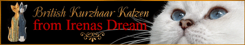 http://www.irenas-dream-katzen.de