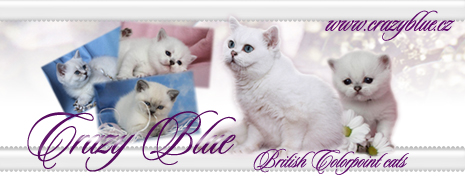 banner crazyblue